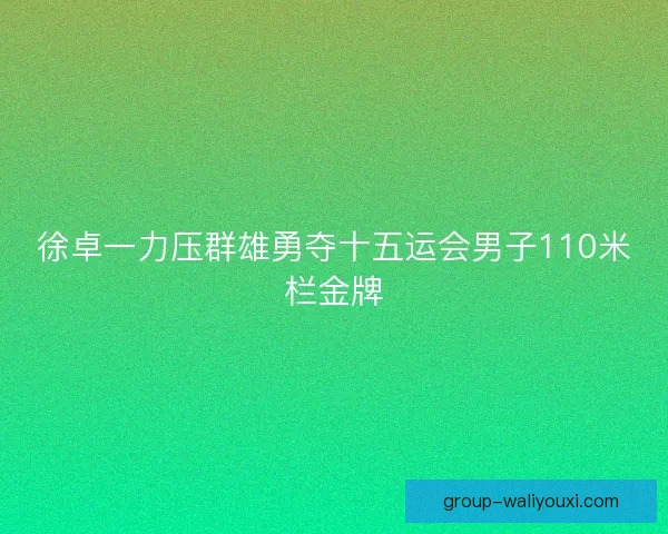 徐卓一力压群雄勇夺十五运会男子110米栏金牌